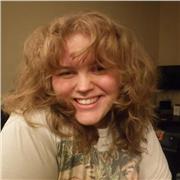 Tutor providing online lessons for English and 11+ students from the ages of 8-18